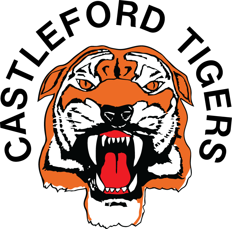 Castleford Tigers 1996-Pres Primary Logo t shirt iron on transfers